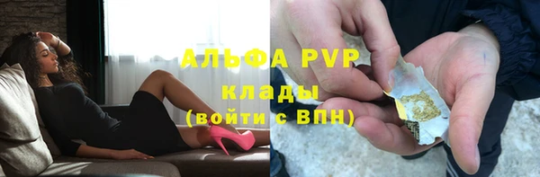 сатива Арсеньев