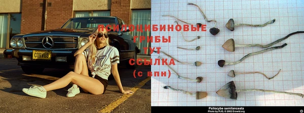спиды Балахна