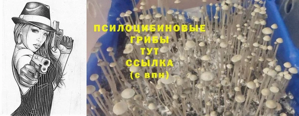 тгк Балабаново