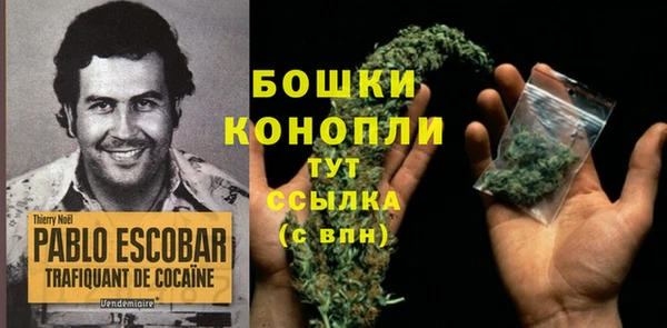 PSILOCYBIN Медногорск