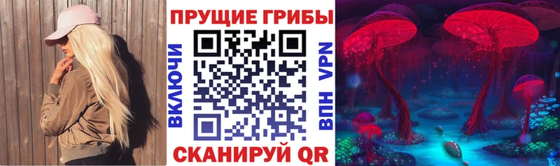 продажа наркотиков  Отрадный  Галлюциногенные грибы GOLDEN TEACHER 